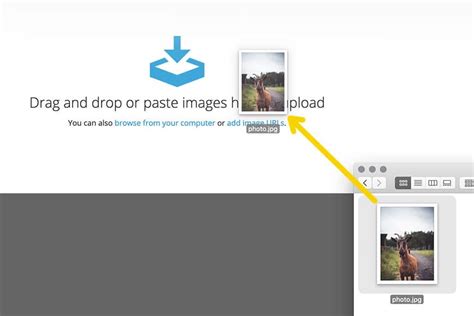 upload s01e10 r5|ImgBB — Upload Image — Free Image Hosting.